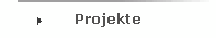 Projekte